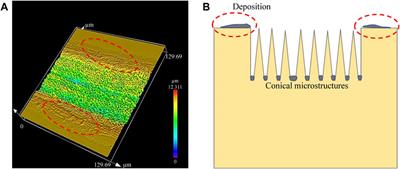 Large-Scale Black Silicon Induced by Femtosecond Laser Assisted With Laser Cleaning